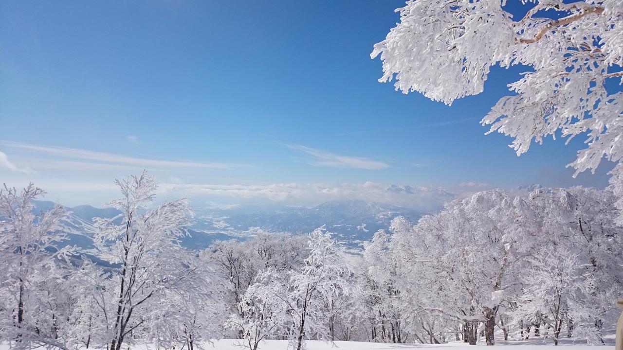 فندق Nozawa Dream المظهر الخارجي الصورة