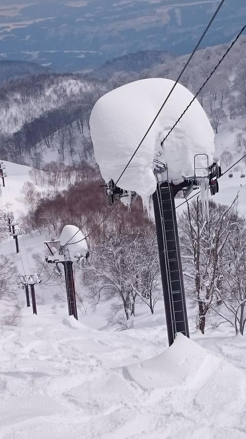 فندق Nozawa Dream المظهر الخارجي الصورة