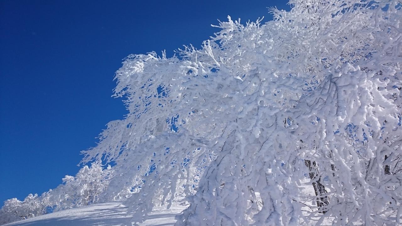 فندق Nozawa Dream المظهر الخارجي الصورة