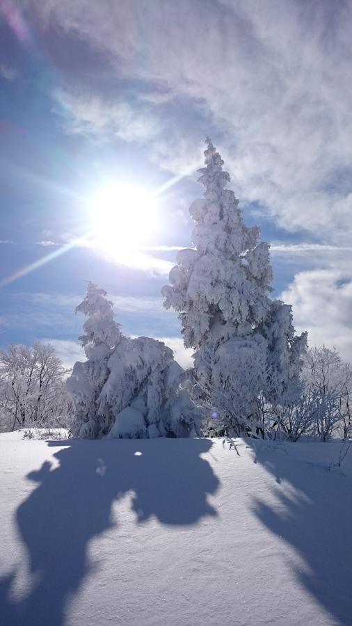 فندق Nozawa Dream المظهر الخارجي الصورة